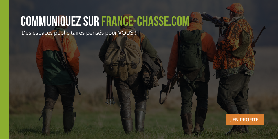 France chasse