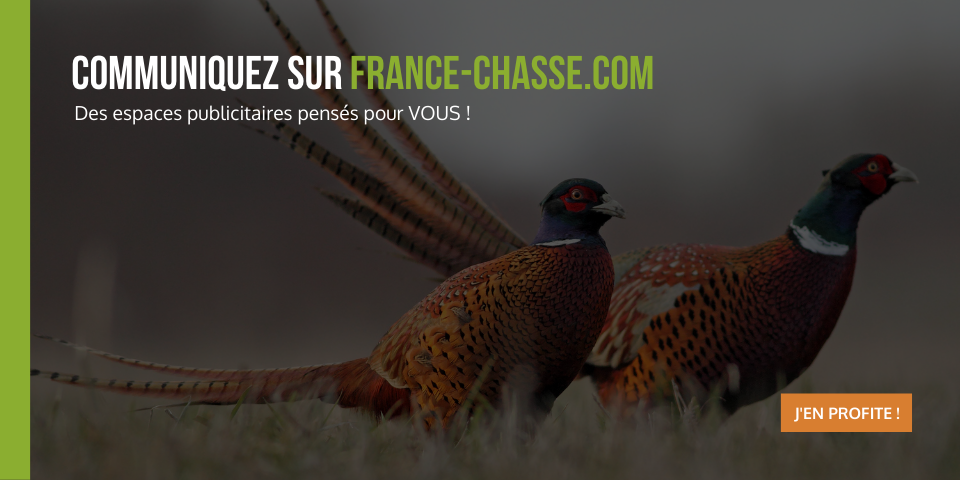 France-chasse.com