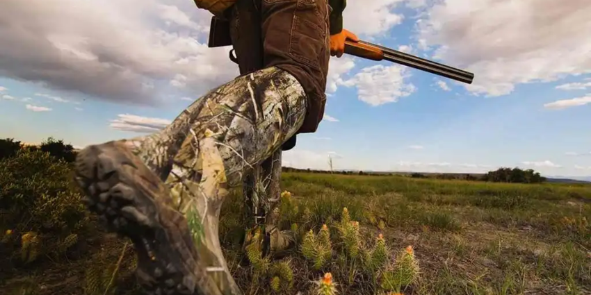 "Isère : un chasseur décède après une chute en montagne à La Morte"