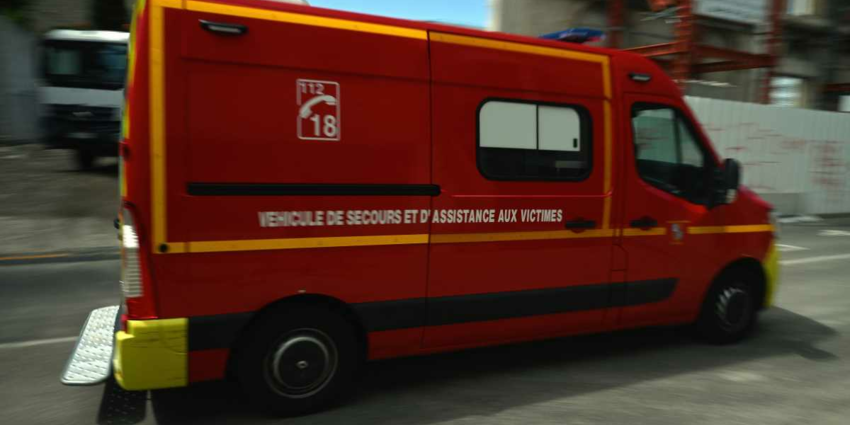 "Orne : une mère de famille perd la vie en percutant un chevreuil"