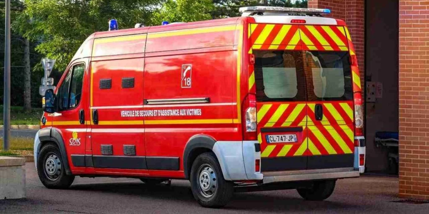 "Nantes : Le périphérique vire au cauchemar, un sanglier envoie un homme aux urgences"