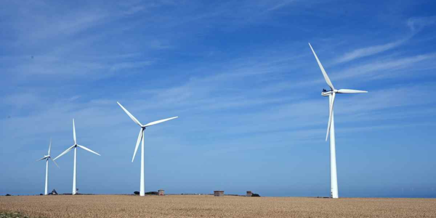 "Vienne : La justice annule un projet d'éoliennes géantes pour sauver un oiseau"