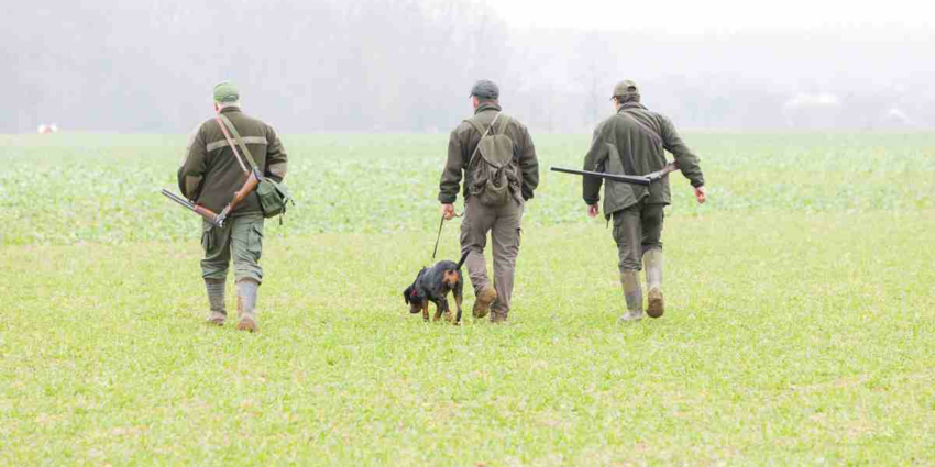 "Chasse et habitations : ce qu’il faut vraiment savoir sur les distances à respecter"