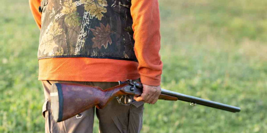 "Morbihan : une battue organisée aux portes des habitations pour endiguer la présence des sangliers"