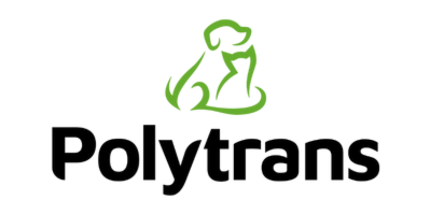 "Comment bien préparer un chien de chasse à la vie en chenil ?"