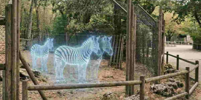 "Lyon : Des animaux remplacés par des hologrammes pour séduire les animalistes ?"