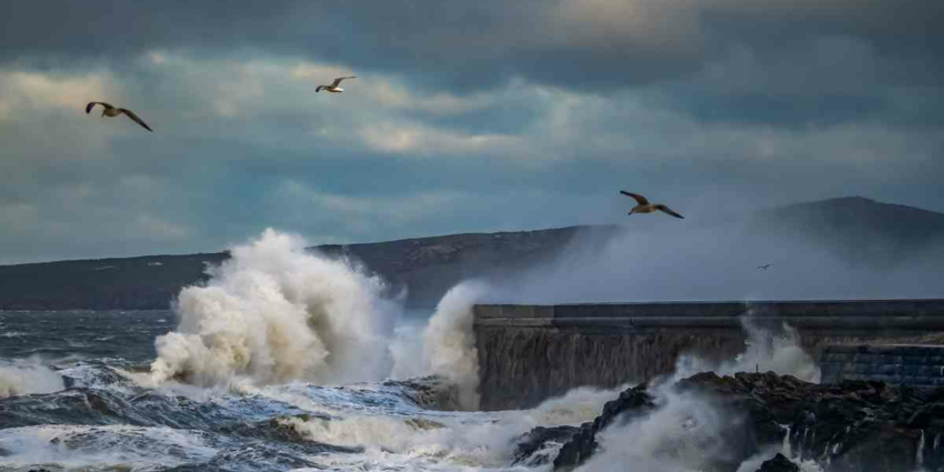 "Bretagne : Le fantôme de l'Erika ressurgit et tue à nouveau 26 ans après le naufrage"