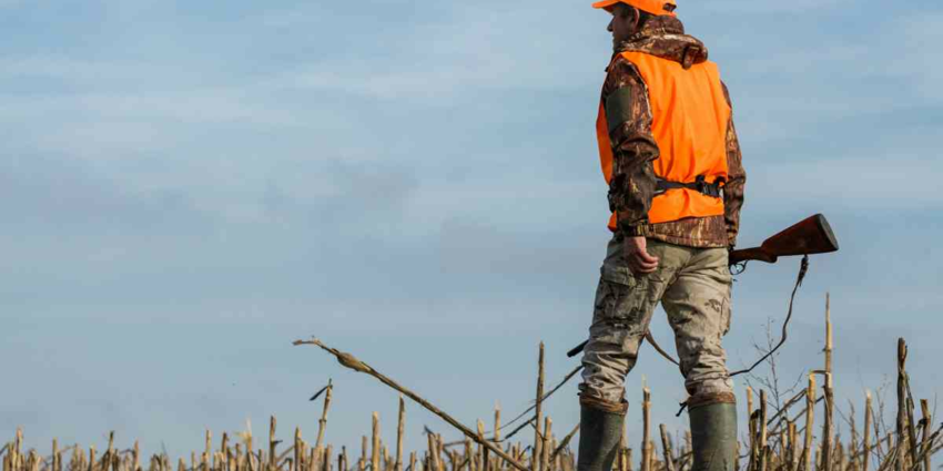 "Espagne : face à la Peste Porcine, les chasseurs payés jusqu'à 55€ par sanglier !"