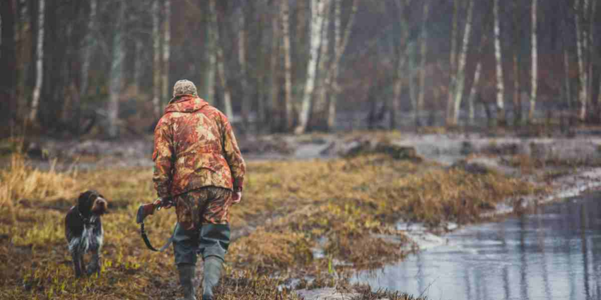"Deux-Sèvres : la chasse du gibier d'eau restreinte dans 32 communes face à la Grippe Aviaire"