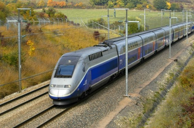 "Roanne-Lyon : un sanglier percute un TER et bloque le trafic durant huit heures"