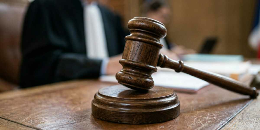 "Hautes-Alpes : Un braconnier devant la justice pour avoir abattu un husky"