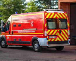 "Caen : cinq sangliers percutés  sur le périphérique"