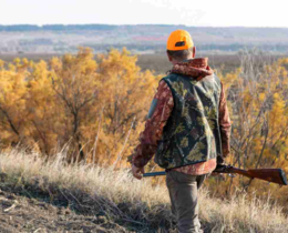 "Hérault : touché aux fesses par un tir, ce chasseur l'a échappé belle"