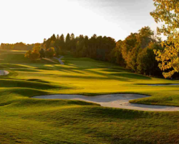 "Val-d'Oise : un chasseur de 41 ans se noie en tentant de sauver son chien lors d'une battue"