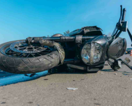 "Haute-Vienne : un motard grièvement blessé après avoir percuté un sanglier sur l’autoroute, les élus appellent à une meilleure gestion du grand gibier"