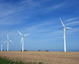 "Vienne : La justice annule un projet d'éoliennes géantes pour sauver un oiseau"