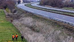 35 chasseurs mobilisés le long de l'A11 pour une battue aux sangliers
