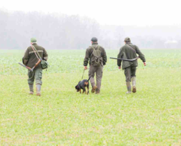 "Chasse et habitations : ce qu’il faut vraiment savoir sur les distances à respecter"