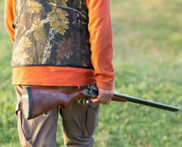 "Morbihan : une battue organisée aux portes des habitations pour endiguer la présence des sangliers"
