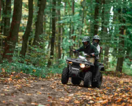 "Ardennes : les forêts de Sedan dévastées par des raids massifs de quads"
