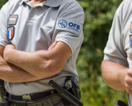 "OFB : Le recrutement d’Anne Le Strat tourne à l’affaire d’État"