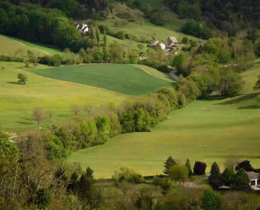 "Normandie : un agriculteur condamné à replanter 10 km de haies"