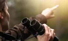 Bien choisir ses jumelles pour la chasse : les clés pour voir juste
