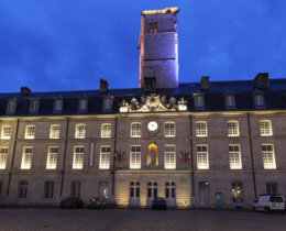 "Rhône : la chasse suspendue dans 13 communes après un foyer de dermatose nodulaire"