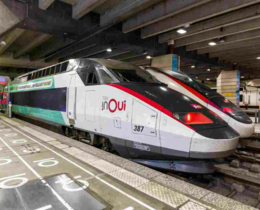 "Var : un sanglier bloque les TGV entre Nice et Marseille"