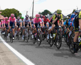 "Tour de France 2026 : le parcours modifié en Catalogne à cause de la peste porcine"
