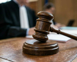 "Hautes-Alpes : Un braconnier devant la justice pour avoir abattu un husky"