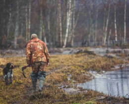 "Sologne : la justice confirme l'interdiction d'un projet d'enclos de 29 hectares"