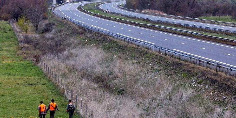 35 chasseurs mobilisés le long de l'A11 pour une battue aux sangliers