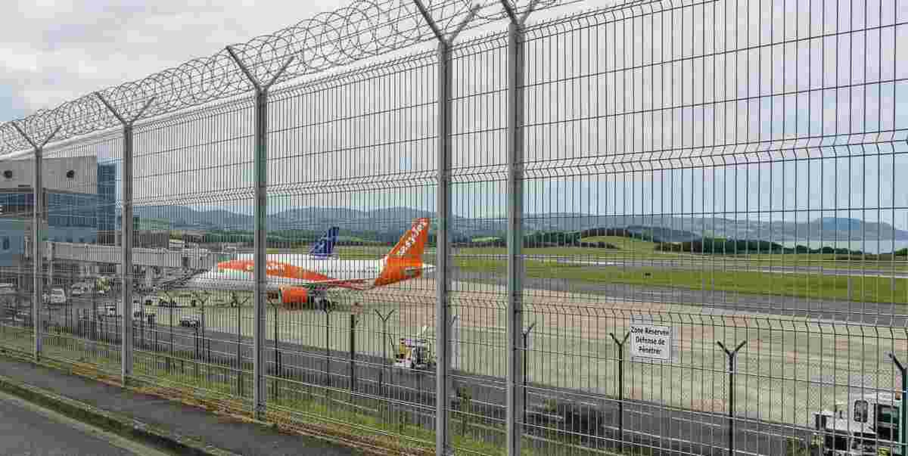 "Biarritz : 16 sangliers prélevés lors d'une battue exceptionnelle à l'aéroport"