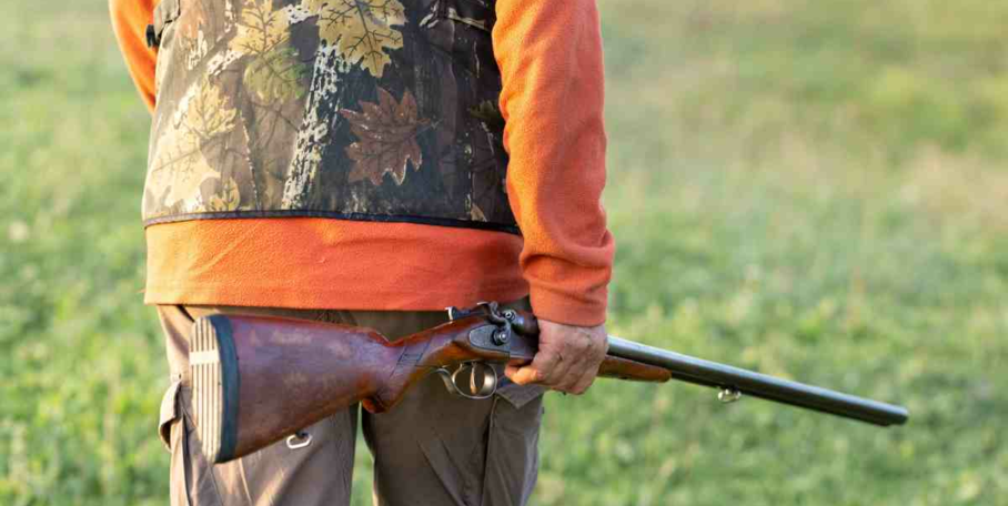 "Morbihan : une battue organisée aux portes des habitations pour endiguer la présence des sangliers"