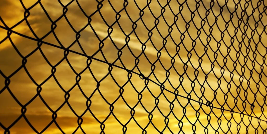 "Haute-Marne : la clôture « anti-loup » à 30€ le mètre n'a pas résisté"