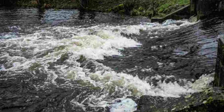 "Charente : il sacrifie sa vie pour tenter de sauver son chien de la rivière"