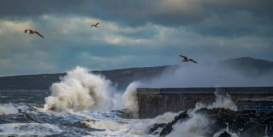 "Bretagne : Le fantôme de l'Erika ressurgit et tue à nouveau 26 ans après le naufrage"