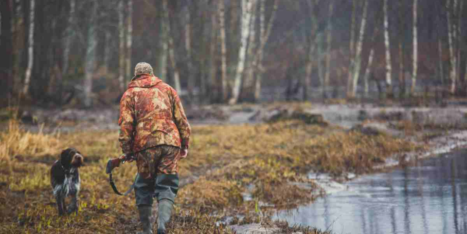 "Deux-Sèvres : la chasse du gibier d'eau restreinte dans 32 communes face à la Grippe Aviaire"