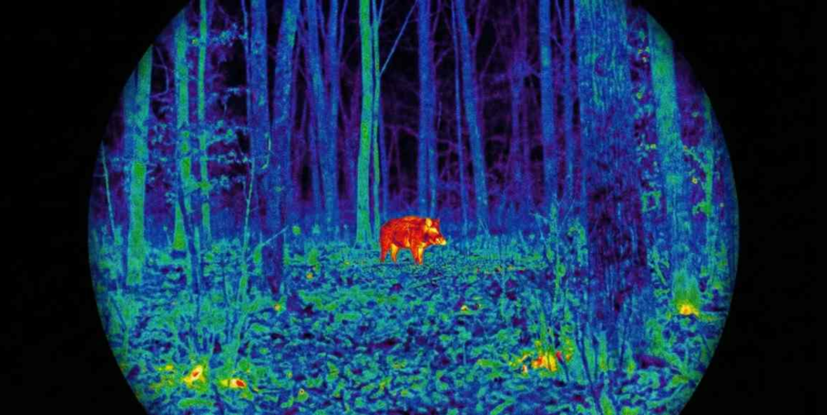 "Est de la France : le tir de nuit thermique autorisé, une mesure qui divise"