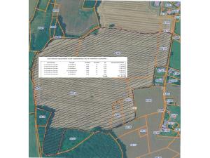 droit de chasser 21ha dont 1 ha de bois sur la commune de GAUVILLE 61550