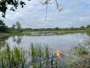 Propriété de chasse en Brenne (36)