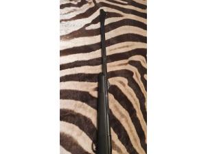 Canons blaser r93 300 win mag