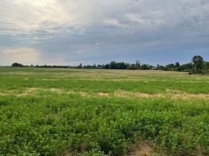 Territoire de chasse dans le Perche a Louer