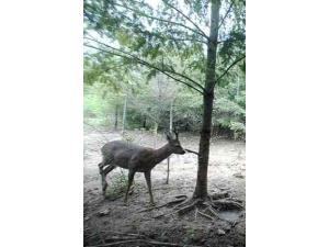 Recherche Partenaires pour Territoire Chasse à l'Approche