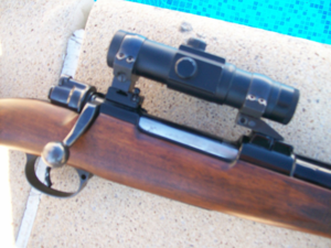carabine 300 wing mag