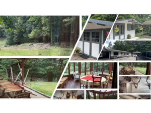 Parc de chasse, chalets et installations