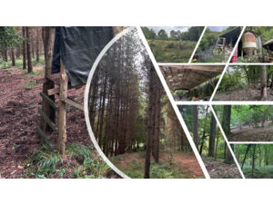 Parc de chasse, chalets et installations