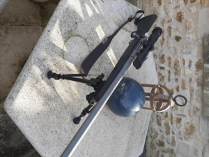 CARABINE RUGER M77 HAWKEYE 338 WIN MAG