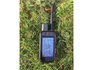 Garmin Alpha 200i K plus collier Alpha T200